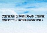 支付宝为什么不可以充q币（支付宝现在为什么不能充值qb简介介绍）