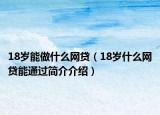18岁能做什么网贷（18岁什么网贷能通过简介介绍）