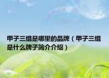 甲子三组是哪里的品牌（甲子三组是什么牌子简介介绍）