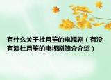有什么关于杜月笙的电视剧（有没有演杜月笙的电视剧简介介绍）