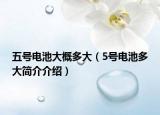 五号电池大概多大（5号电池多大简介介绍）