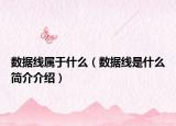 数据线属于什么（数据线是什么简介介绍）