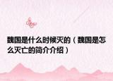 魏国是什么时候灭的（魏国是怎么灭亡的简介介绍）
