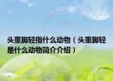 头重脚轻指什么动物（头重脚轻是什么动物简介介绍）