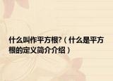 什么叫作平方根?（什么是平方根的定义简介介绍）