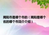 揭阳市是哪个市的（揭阳是哪个省的哪个市简介介绍）