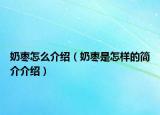 奶枣怎么介绍（奶枣是怎样的简介介绍）