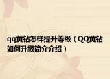 qq黄钻怎样提升等级（QQ黄钻如何升级简介介绍）