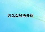 怎么买乌龟介绍