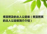 煮豆燃及的主人公是谁（煮豆燃萁的主人公是谁简介介绍）