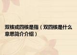 双核或四核是指（双四核是什么意思简介介绍）