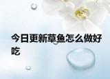 今日更新草鱼怎么做好吃