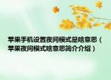 苹果手机设置夜间模式是啥意思（苹果夜间模式啥意思简介介绍）