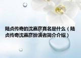 陆贞传奇的沈嘉彦真名是什么（陆贞传奇沈嘉彦扮演者简介介绍）