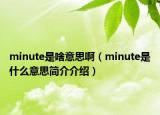 minute是啥意思啊（minute是什么意思简介介绍）