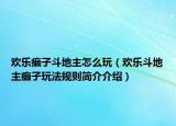 欢乐癞子斗地主怎么玩（欢乐斗地主癞子玩法规则简介介绍）