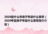 2020是什么年庚子年是什么意思（2020年是庚子年是什么意思简介介绍）