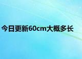 今日更新60cm大概多长