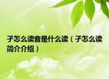 孑怎么读音是什么读（孑怎么读简介介绍）