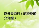 蛇分类百科（蛇种类简介介绍）