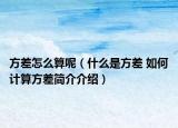 方差怎么算呢（什么是方差 如何计算方差简介介绍）