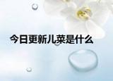 今日更新儿菜是什么