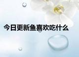 今日更新鱼喜欢吃什么