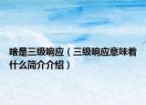 啥是三级响应（三级响应意味着什么简介介绍）