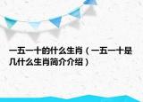 一五一十的什么生肖（一五一十是几什么生肖简介介绍）