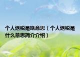 个人退税是啥意思（个人退税是什么意思简介介绍）