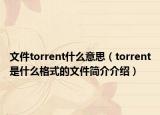 文件torrent什么意思（torrent是什么格式的文件简介介绍）