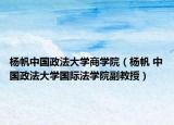 杨帆中国政法大学商学院（杨帆 中国政法大学国际法学院副教授）