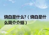 烧白是什么?（烧白是什么简介介绍）