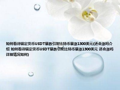 如何看待锚定币USDT暴跌引发比特币暴涨1300美元（会不会再次上涨）