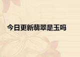 今日更新翡翠是玉吗