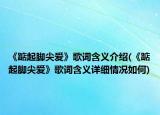 《踮起脚尖爱》歌词含义介绍(《踮起脚尖爱》歌词含义详细情况如何)