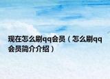 现在怎么刷qq会员（怎么刷qq会员简介介绍）