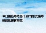 今日更新痔疮是什么样的(女性痔疮的危害有哪些)