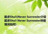 跪求Shall(Never Surrender介绍 跪求Shall Never Surrender详细情况如何)