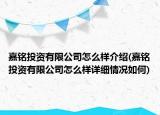 嘉铭投资有限公司怎么样介绍(嘉铭投资有限公司怎么样详细情况如何)