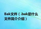 Bak文件（.bak是什么文件简介介绍）