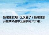 新城控股为什么又涨了（新城控股开盘跌停是怎么回事简介介绍）