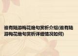 谁有陆游梅花绝句赏析介绍(谁有陆游梅花绝句赏析详细情况如何)
