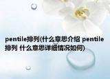 pentile排列(什么意思介绍 pentile排列 什么意思详细情况如何)