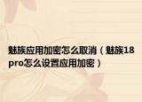 魅族应用加密怎么取消（魅族18pro怎么设置应用加密）