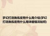 梦幻打造熟练度有什么用介绍(梦幻打造熟练度有什么用详细情况如何)