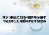 抽水马桶盖怎么打开图解介绍(抽水马桶盖怎么打开图解详细情况如何)