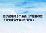 望子成龙打十二生肖（严加管教望子成龙什么生肖简介介绍）