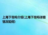 上海下雪吗介绍(上海下雪吗详细情况如何)