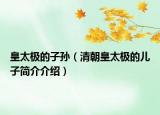 皇太极的子孙（清朝皇太极的儿子简介介绍）
